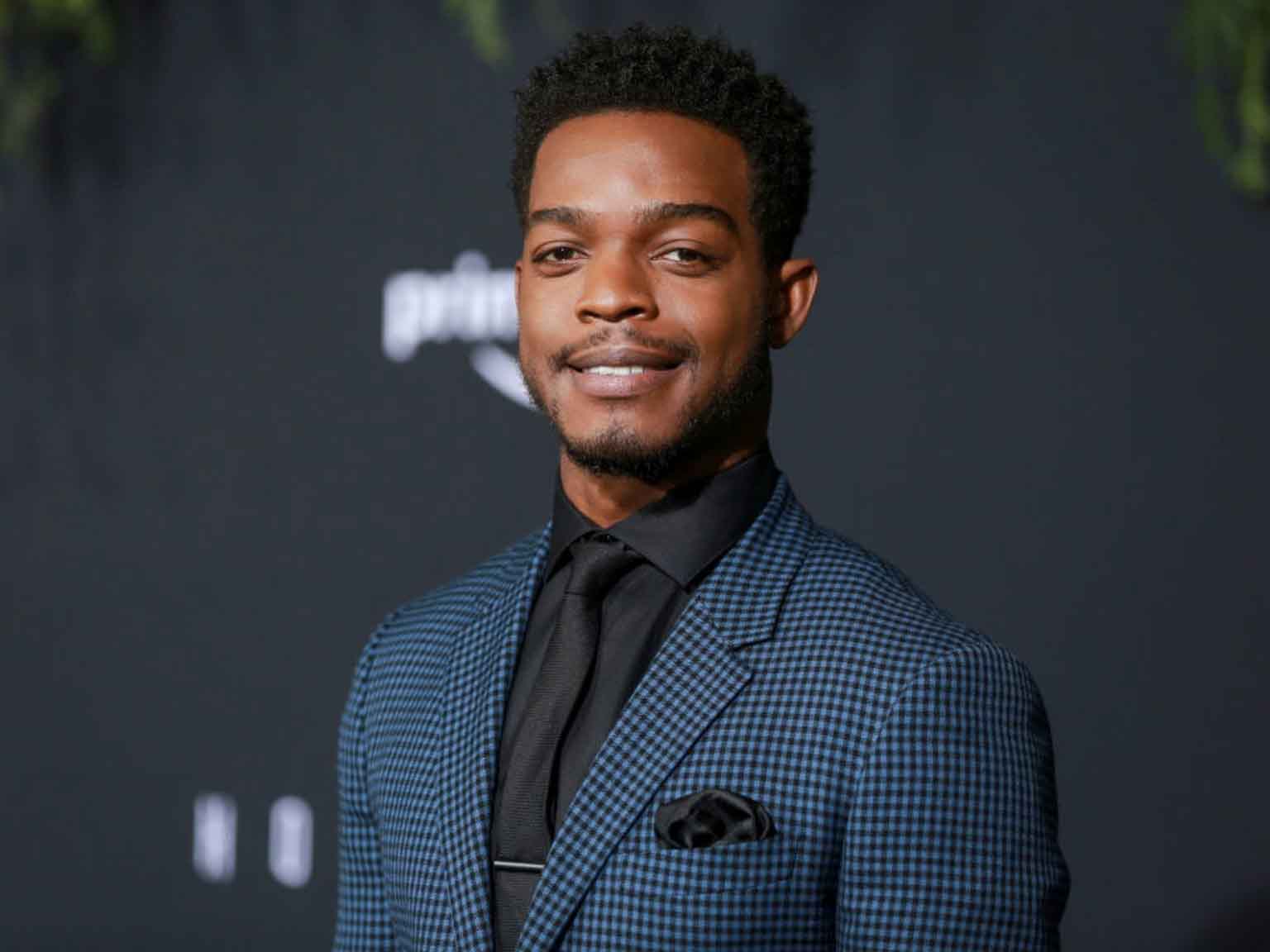 Stephan James (born December 16, 1993) is a Canadian actor. After starring in a string of television series as a teenager, he rose to prominence ...